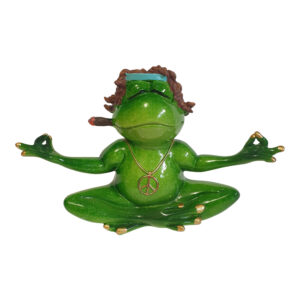Meditation Hippy Frog