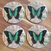Green butterfly 4 pack of coasters