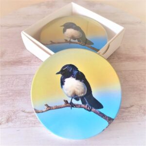 Willy wagtail bird coasters