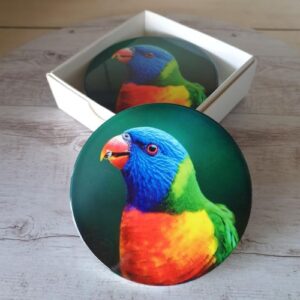 rainbow lorikeet parrot coasters