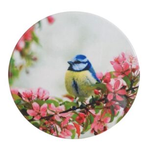 blue tit bird coasters
