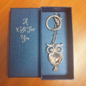 silver gem owl boxed gift keyring