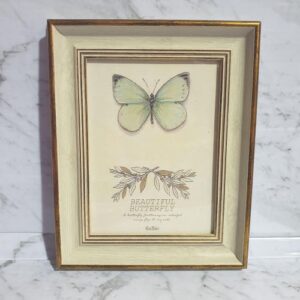 Butterfly 6 x 8 in photo frame