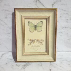 Butterfly frame 4 x 6 in