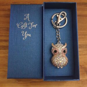 Pink owl keychain boxed gift