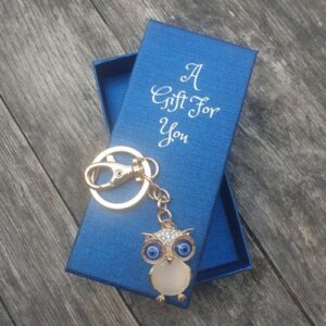 Cute owl keyring keychain boxed gift
