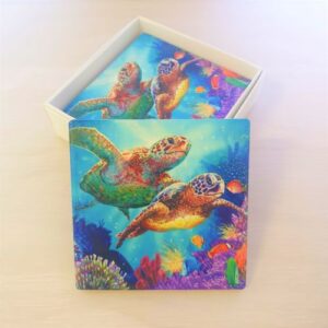 colourful turtle coasters box set