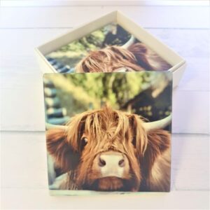 highlander cow coaster gift set