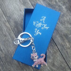 Cat pink kitty keyring keychain boxed gift