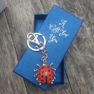 Ladybug keyring keychain boxed gift